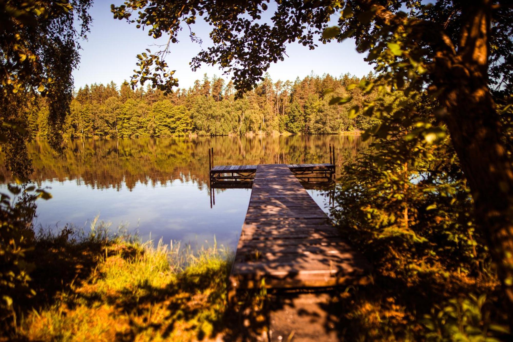 Komáří Louka Nova Olesna Esterno foto